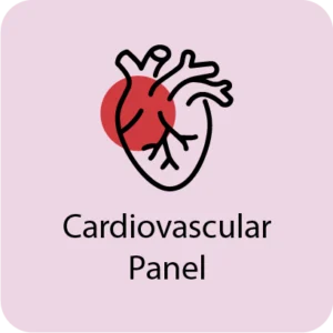 cardiovascular