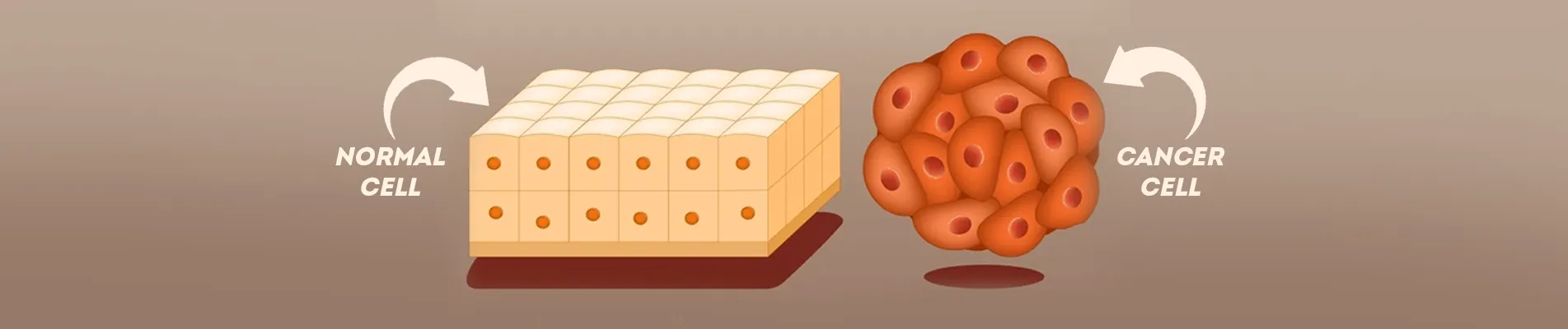 What Causes Lymphoma Cancer