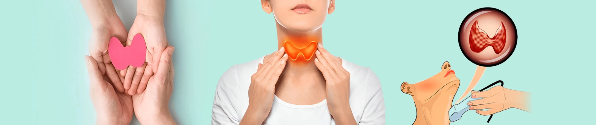 How To Prevent Thyroid