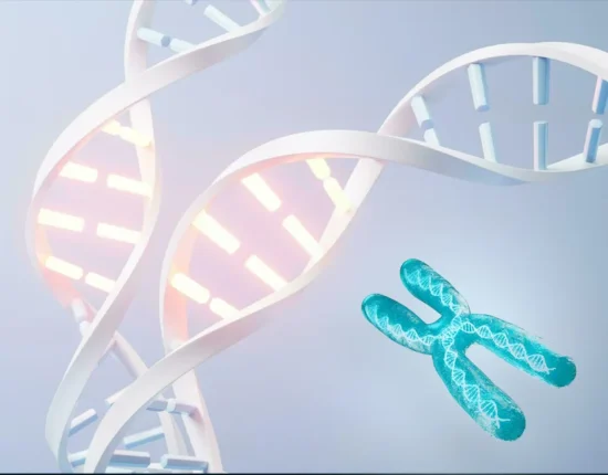 how your genes influence your personality and problem-solving skills