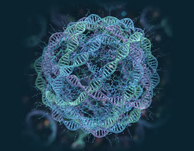 What Targeted Panel Genetic Testing Is mob