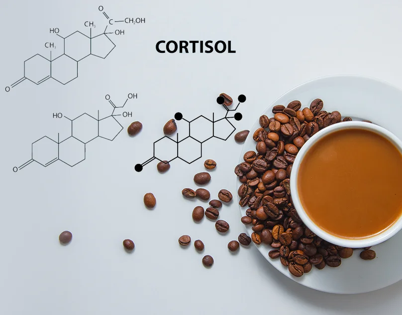 Caffeine, Cortisol, And Energy Crashes Explained Simply mob