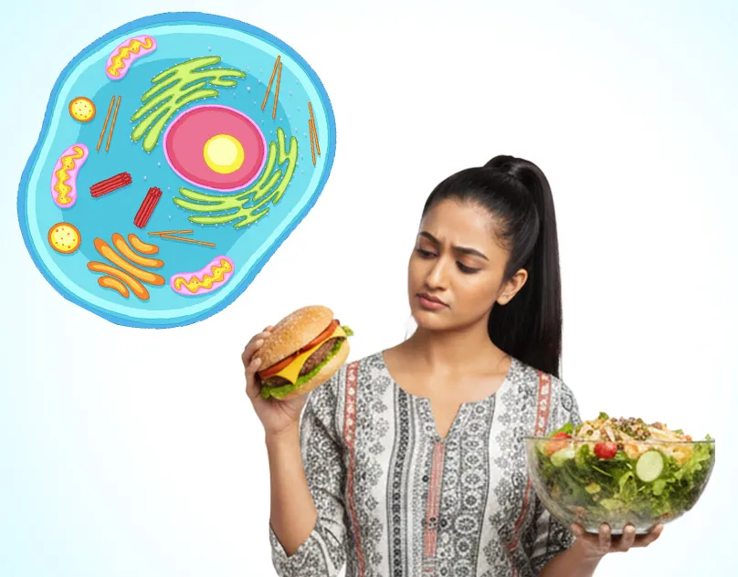 What cellular stress response means mob