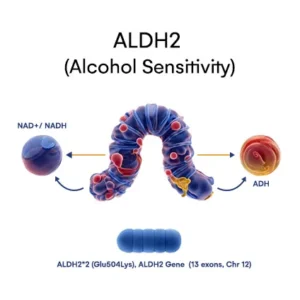 ALDH2 (Alcohol sensitivity)