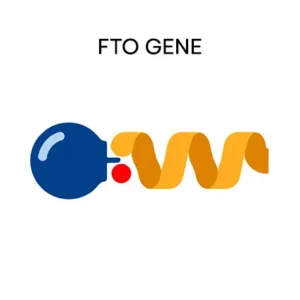 FTO Gene Weight & Hunger