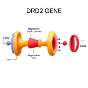 DRD2 gene