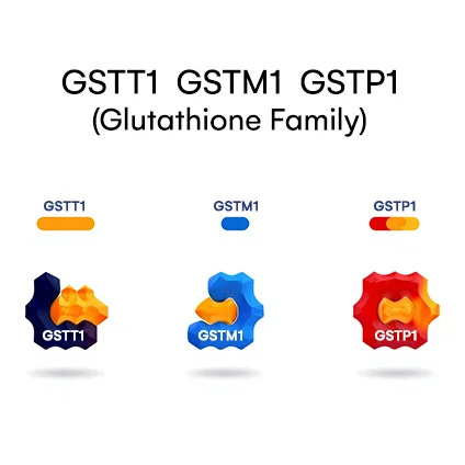 GSTT1 GSTM1 GSTP1 (Glutathione family)