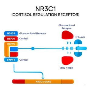 NR3C1 (cortisol regulation receptor)