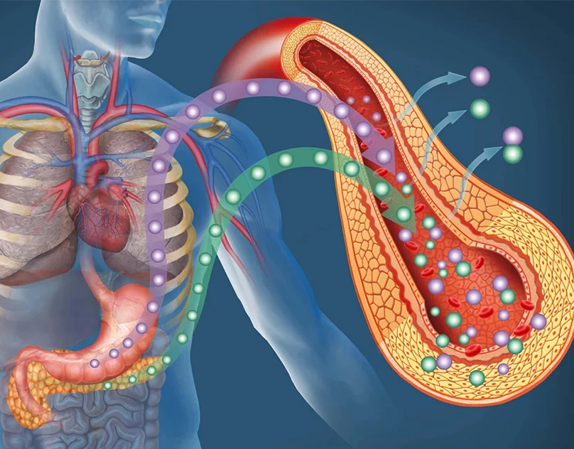what insulin sensitivity genes regulate mob
