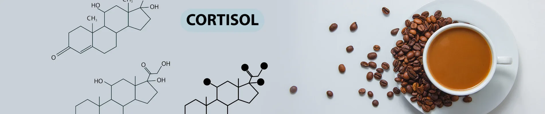 Caffeine, Cortisol, And Energy Crashes Explained Simply