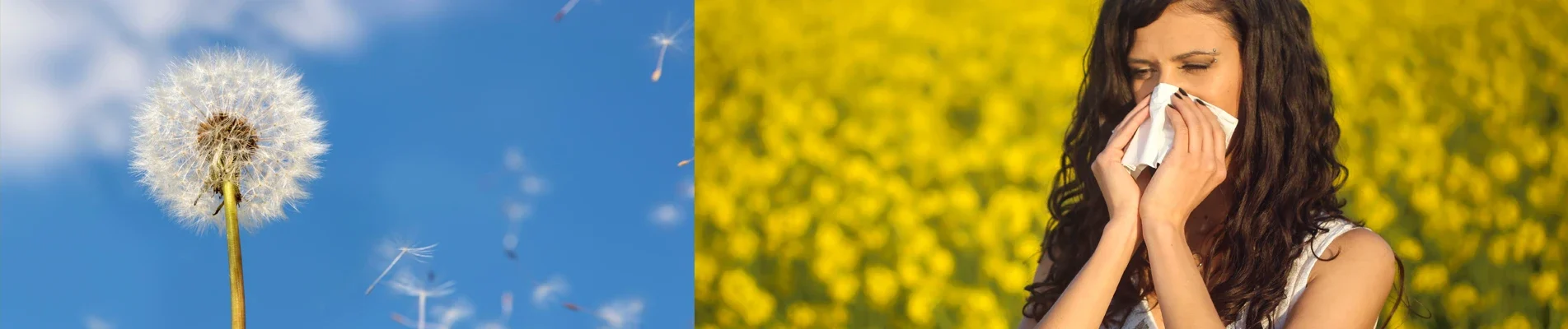 Food Allergies, Dust, and Pollen Is Your DNA Making You Suffer