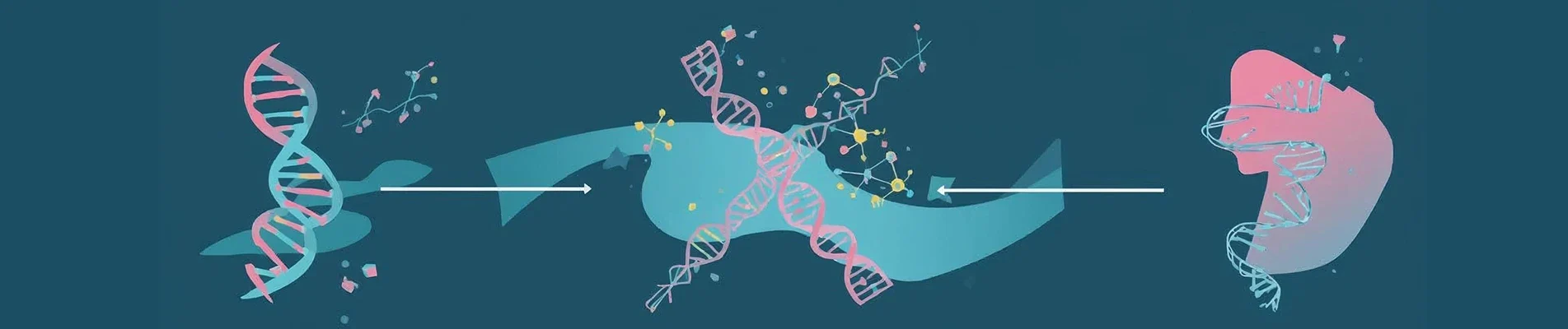 How Gene Expression Works