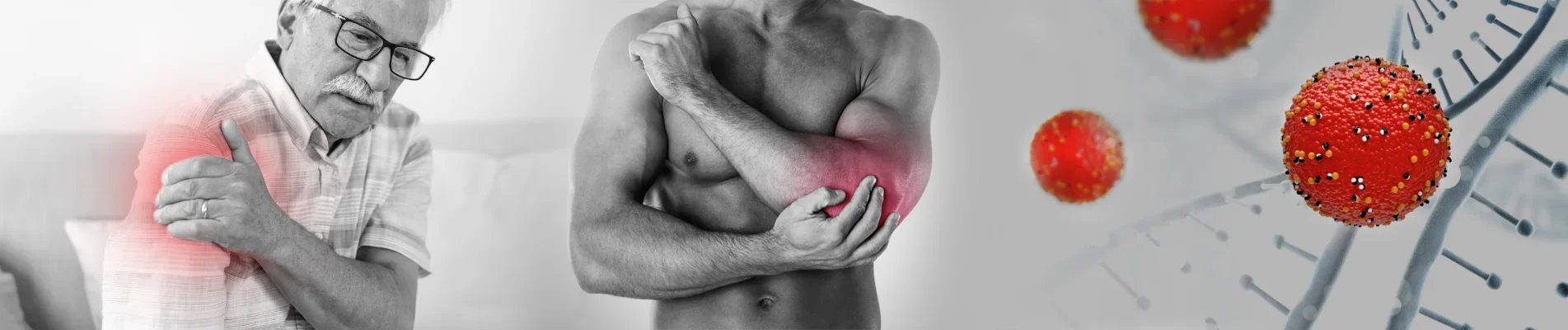 How inflammation accelerates aging