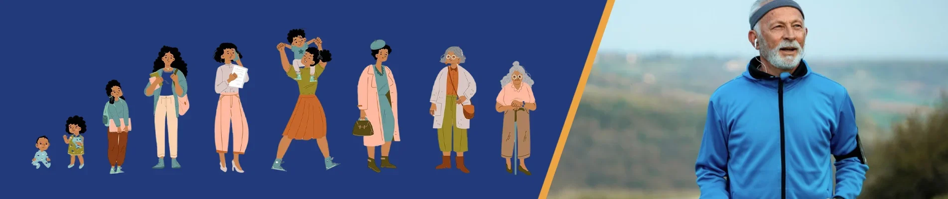 Longevity vs lifespan webp