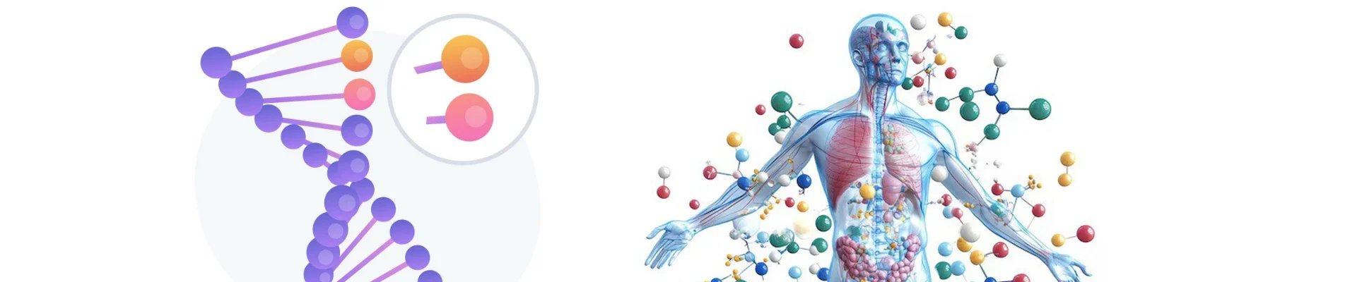 What Gene Pathways Mean In Human Biology