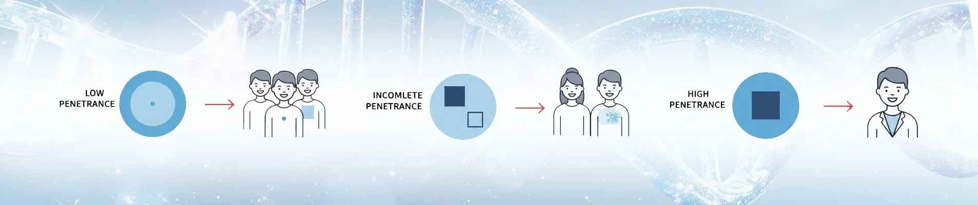 What Genetic Penetrance Means