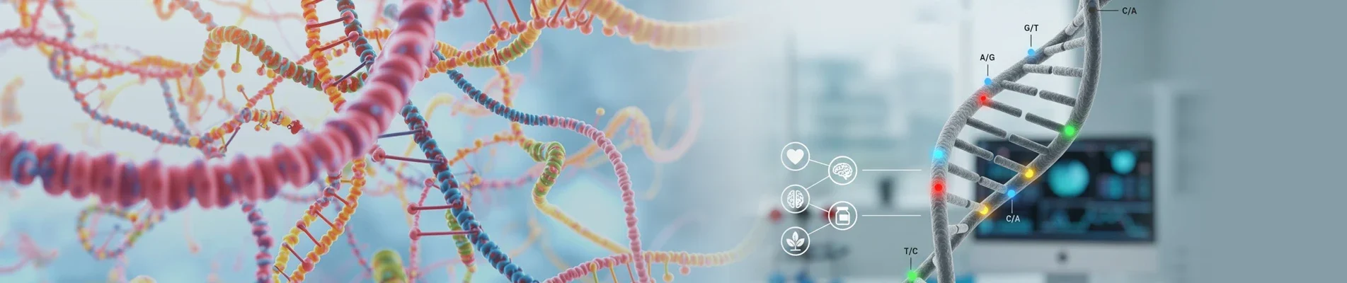 What Snps Are And Why They Matter