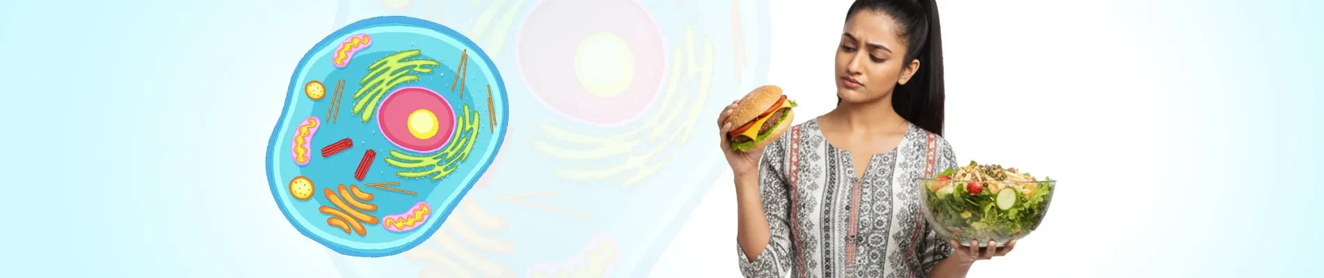 What cellular stress response means