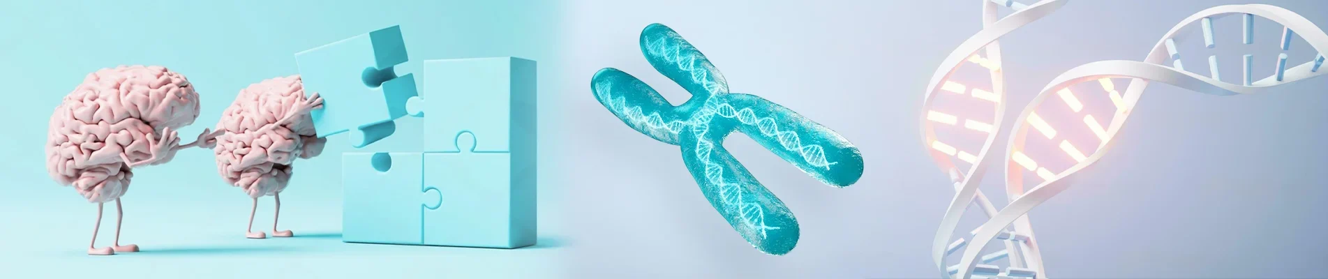 how your genes influence your personality and problem-solving skills