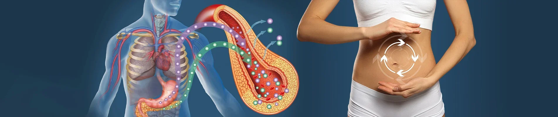 what insulin sensitivity genes regulate web